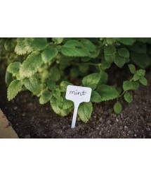 Jelzőtábla nagy 10*15cm Jelzőtábla nagy 10*15cm